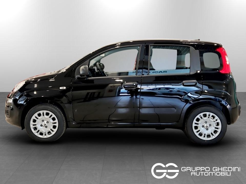 FIAT Panda Pandina My26 1.0 65cv Hybrid Icon Ibrida km0 - 1