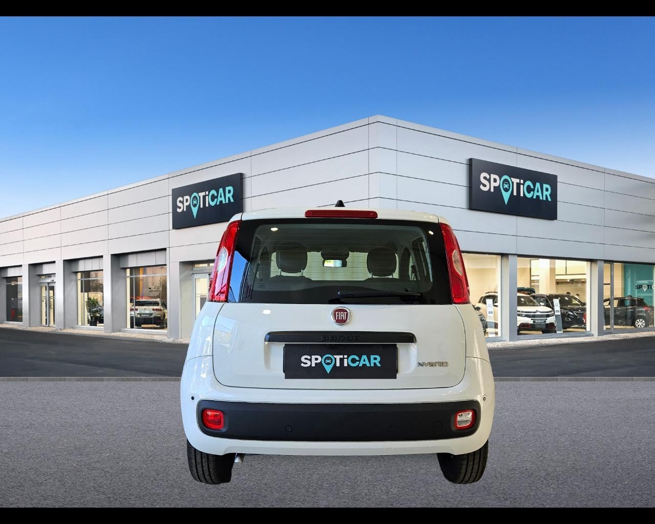 FIAT Panda 1.0 70cv Hybrid Icon Ibrido benzina Aziendale - 3