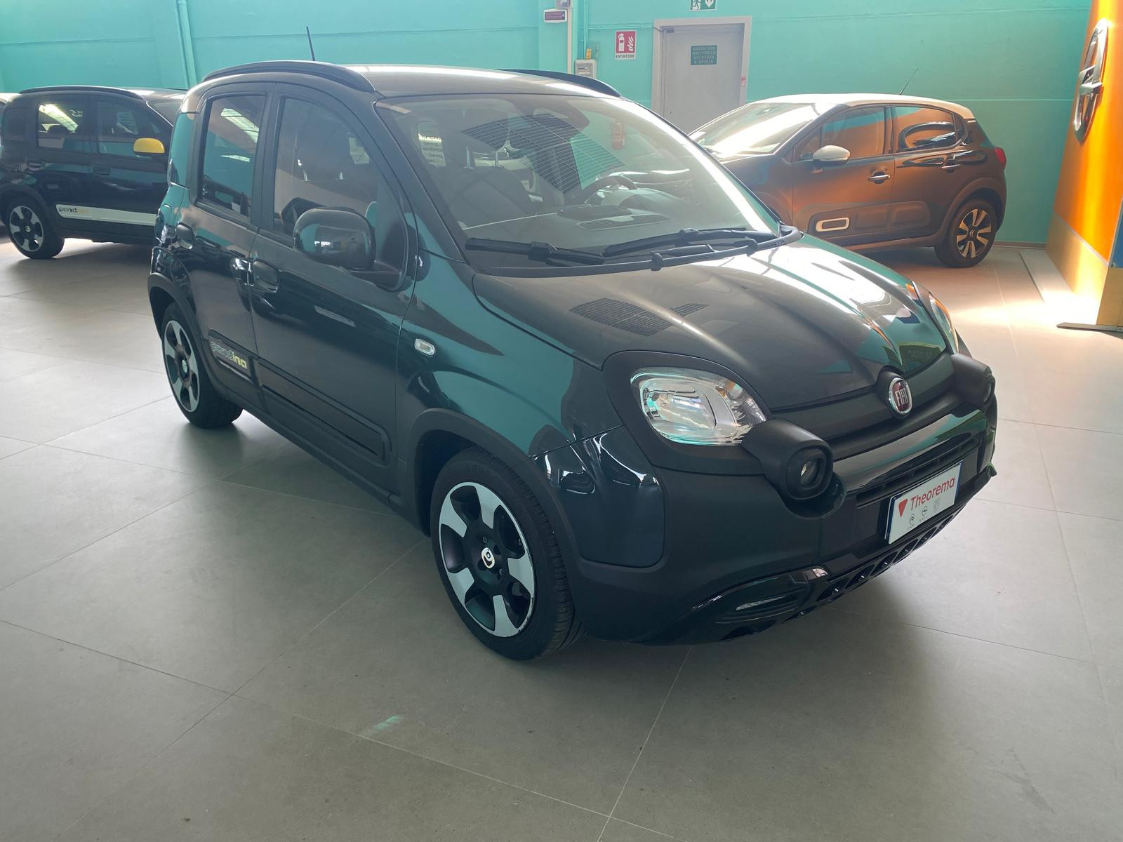 FIAT Panda Pandina Cross 1.0 firefly hybrid s&s 70cv