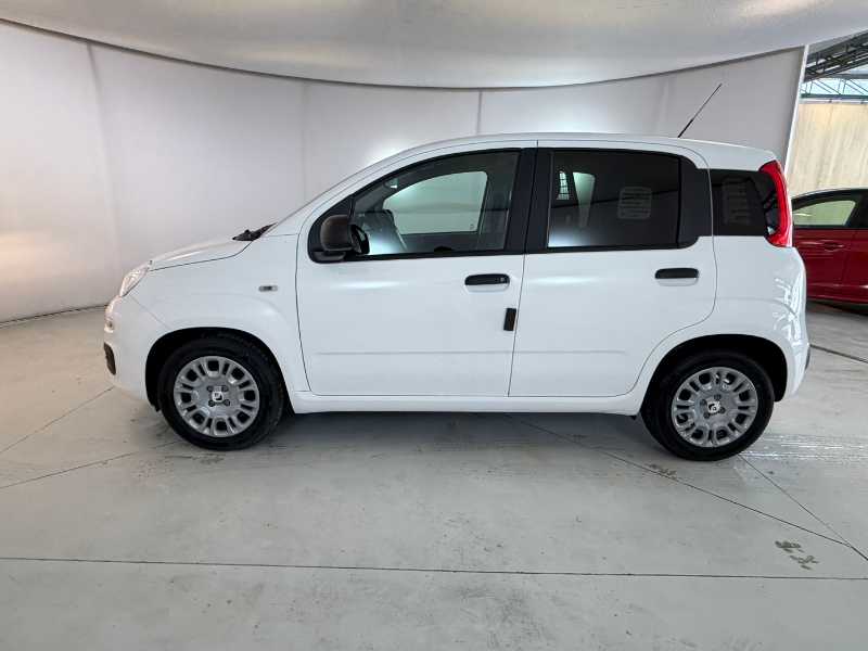 Pandina Van Serie 0 Pandina Van Pop 1.0 Hybrid 65cv S&s -  2 Posti