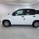 Pandina Van Serie 0 Pandina Van Pop 1.0 Hybrid 65cv S&s -  2 Posti