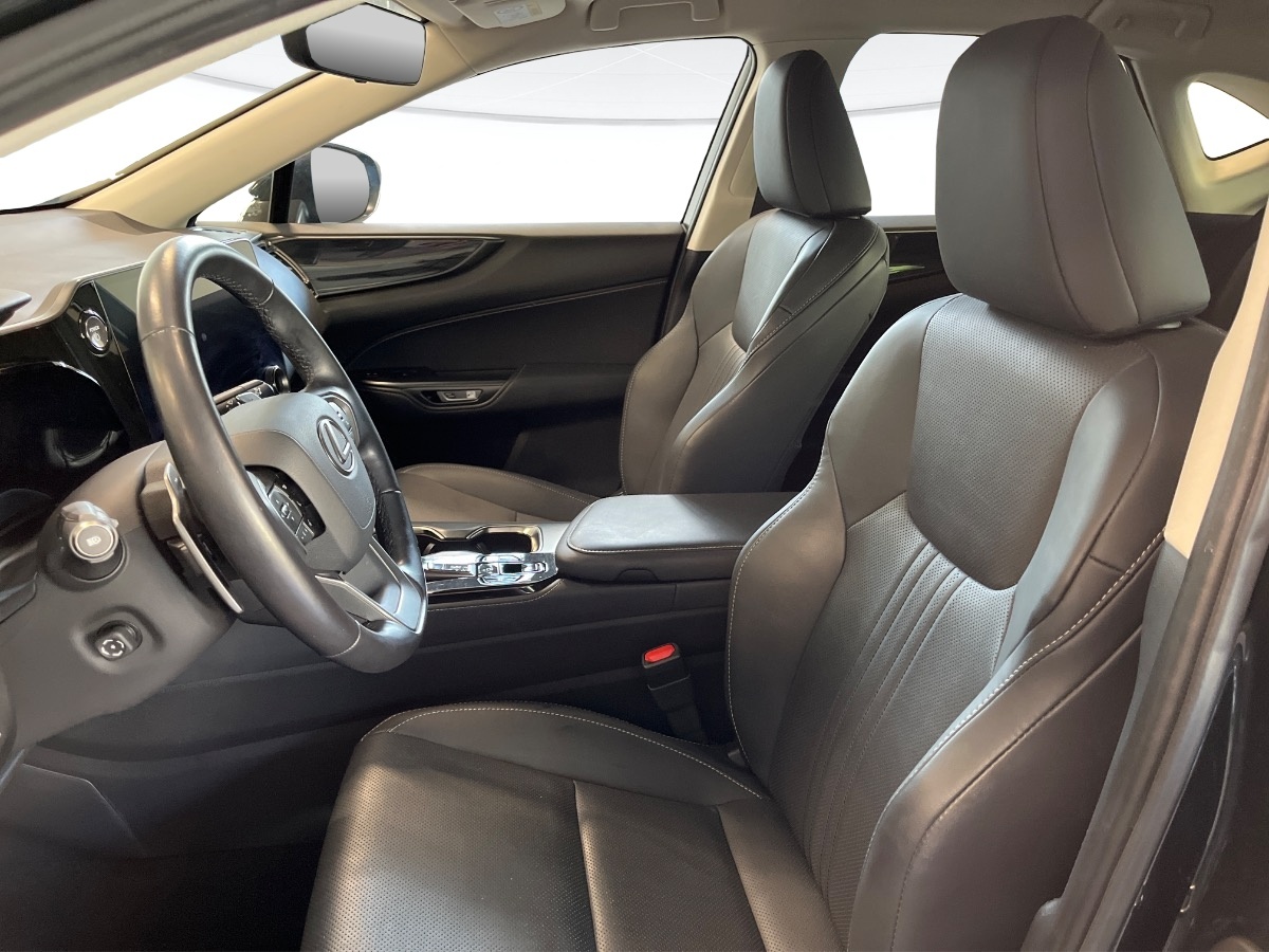 Lexus NX Usato 2022 NX Altavilla Vicentina