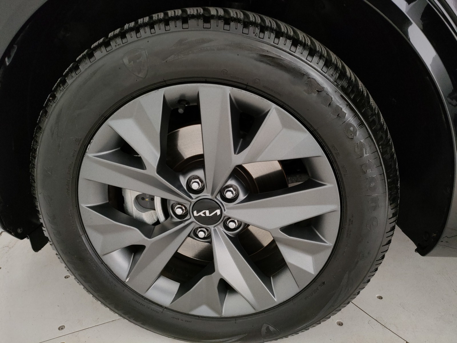 Kia Sportage Usato 2022 Sportage Legnago