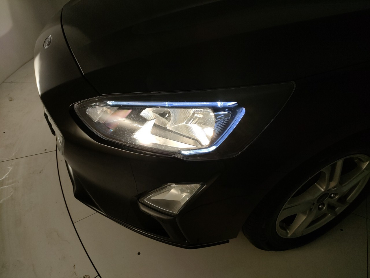 Ford Focus Usato 2019 Focus Porto Mantovano