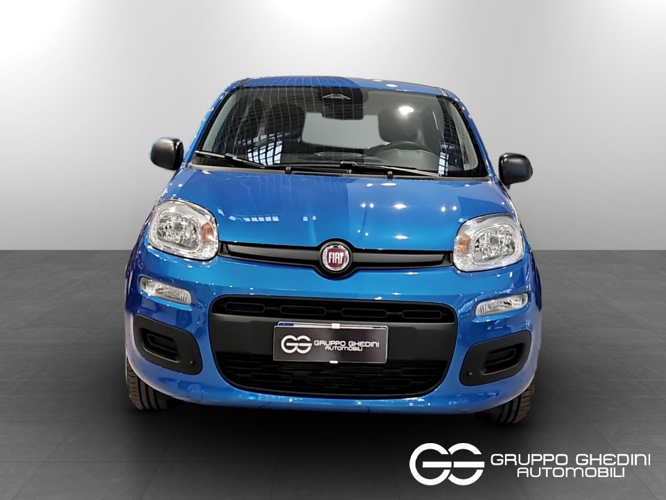 FIAT Panda Pandina 1.0 firefly hybrid Icon s&s 70cv Ibrida usato - 3