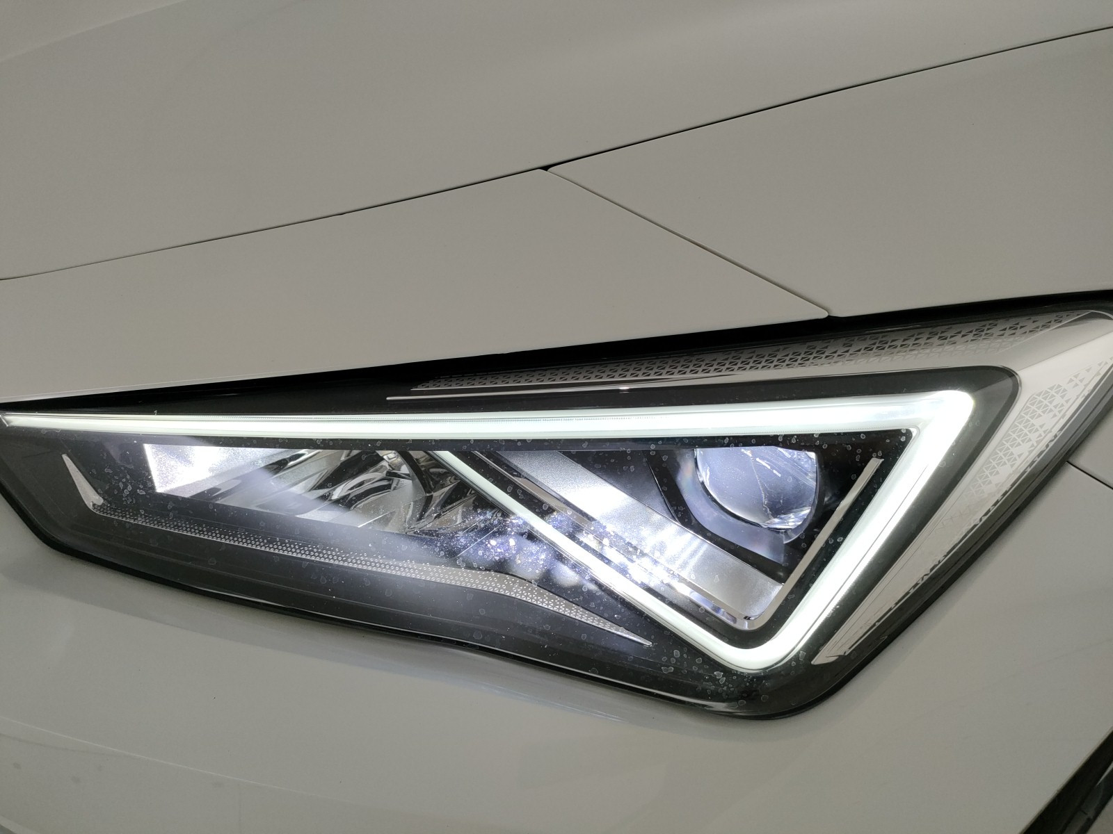 Cupra Leon Usato 2024 Leon Legnago