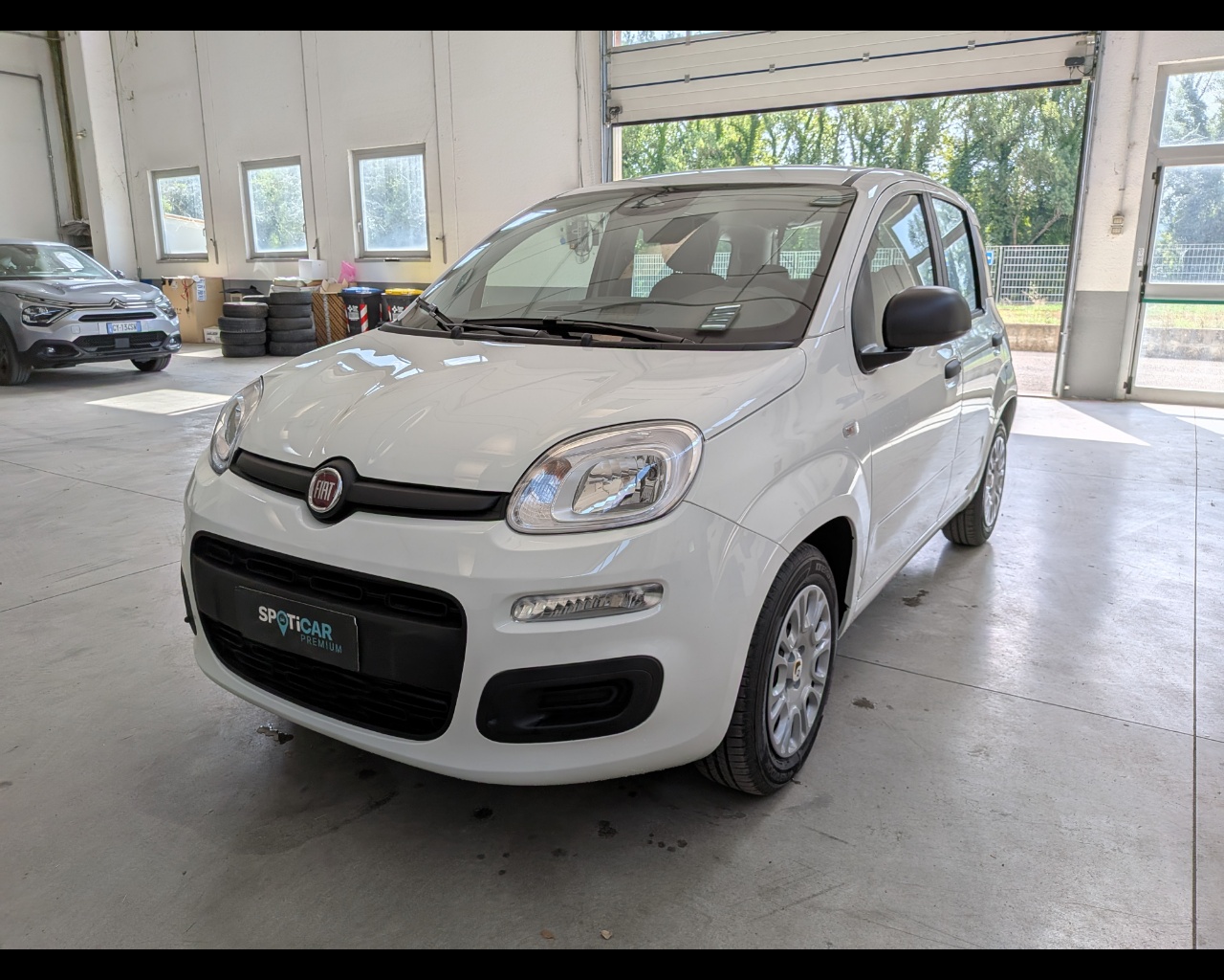 FIAT Panda 1.0 firefly hybrid s&s 70cv 5p.ti Usata