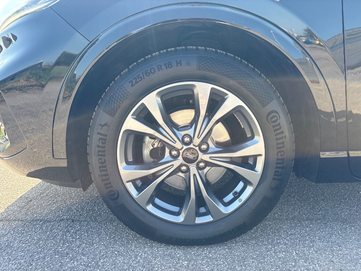 Ford Kuga Usato 2020 Kuga Rovigo