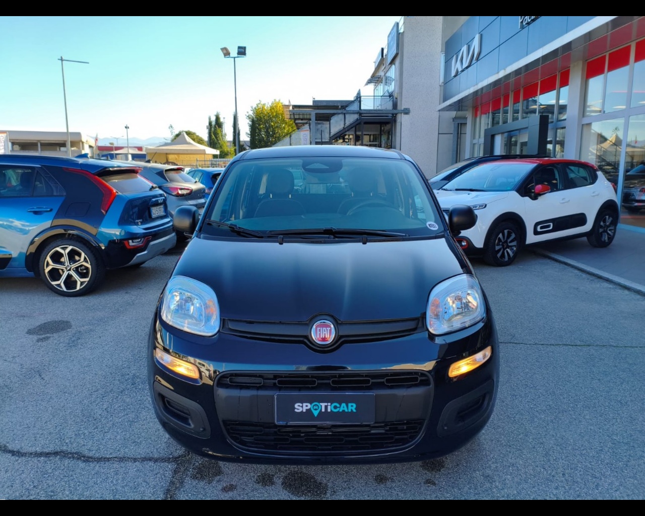 Foto FIAT Panda My25 1.0 70cv Hybrid Panda