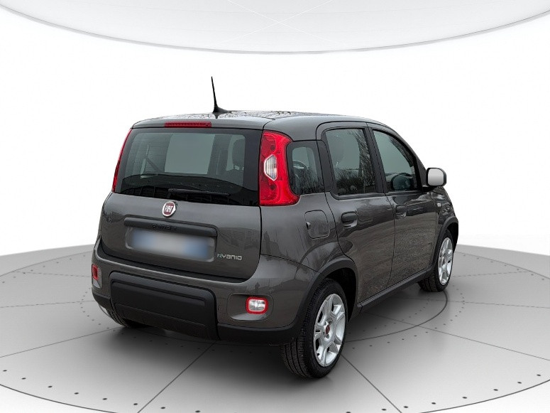 Fiat Panda Usato 2023 Panda Mestre
