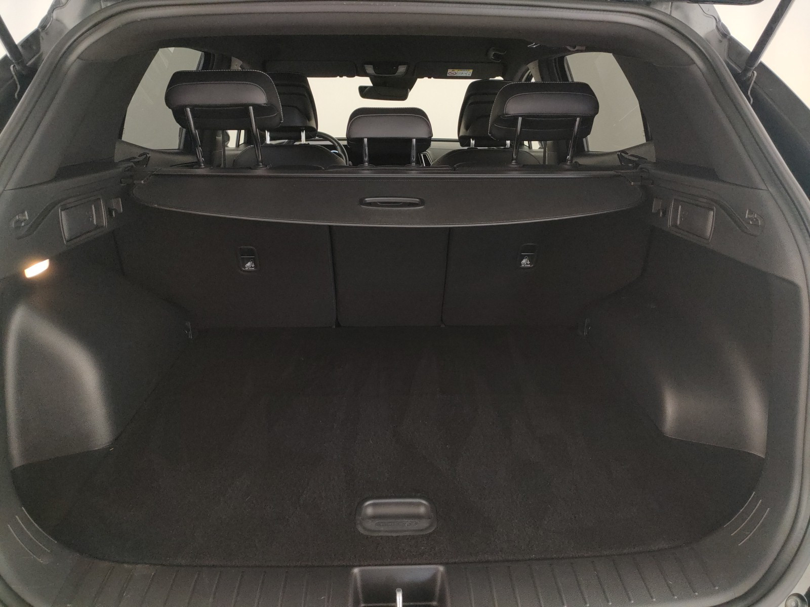 Kia Sportage Usato 2022 Sportage Legnago