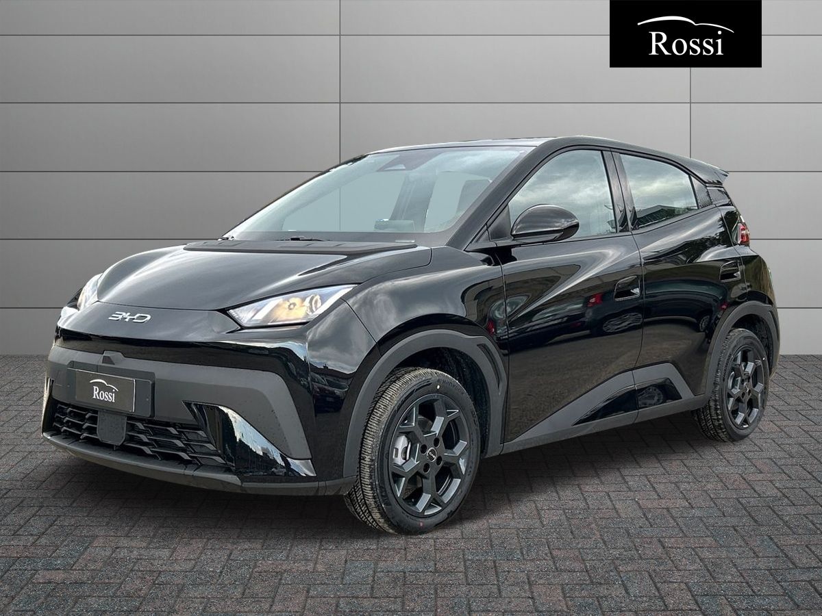BYD BYD DOLPHIN SURF Boost