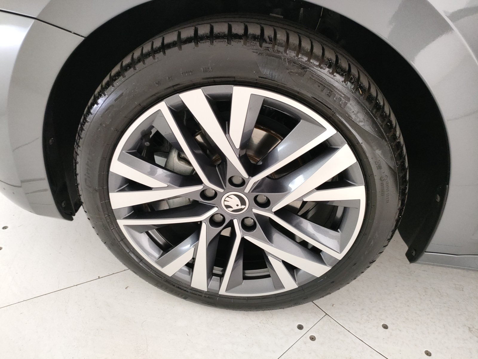 Skoda Octavia Usato 2024 Octavia Rovigo