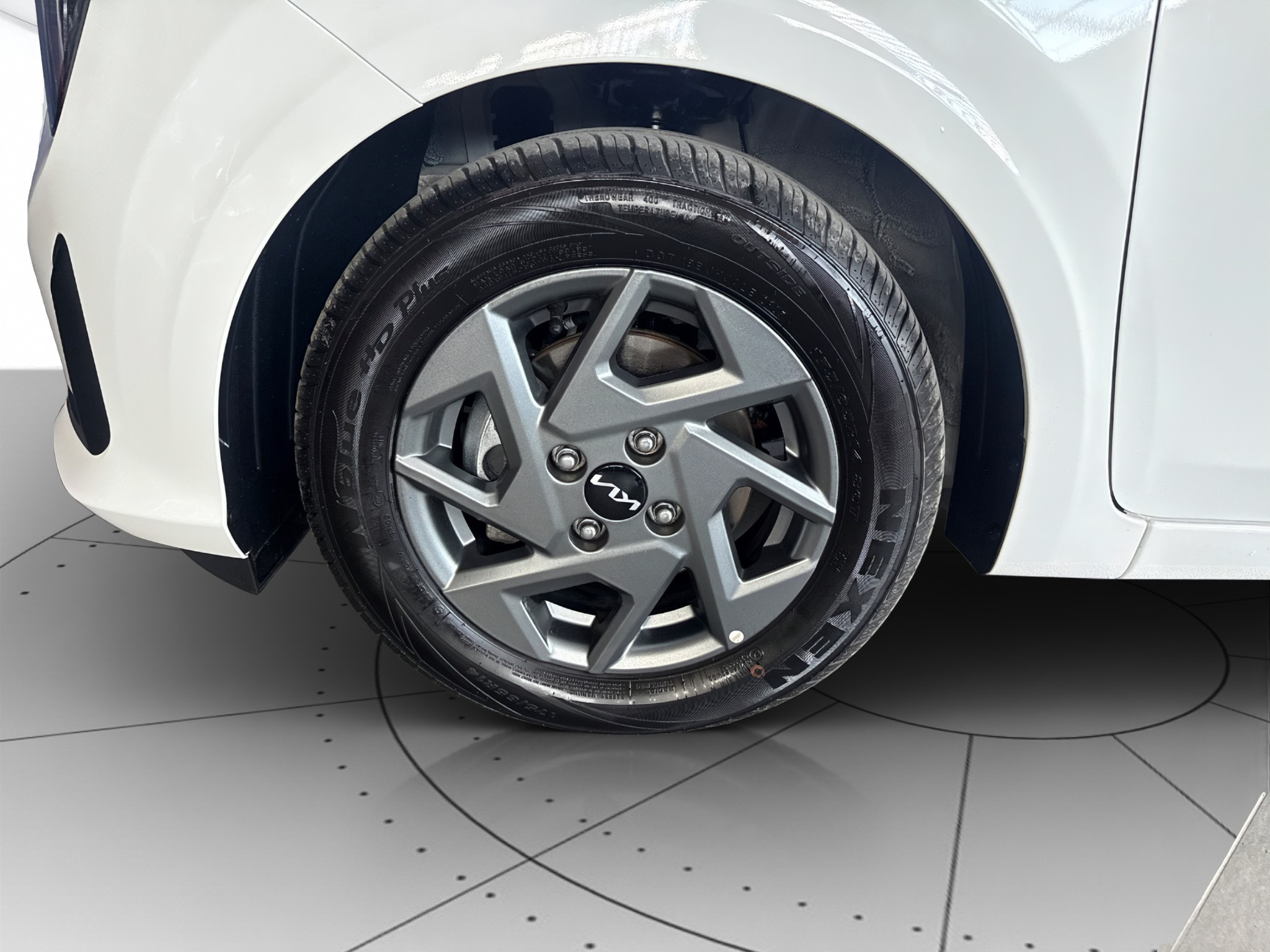 Kia Picanto Usato 2025 Picanto Parma