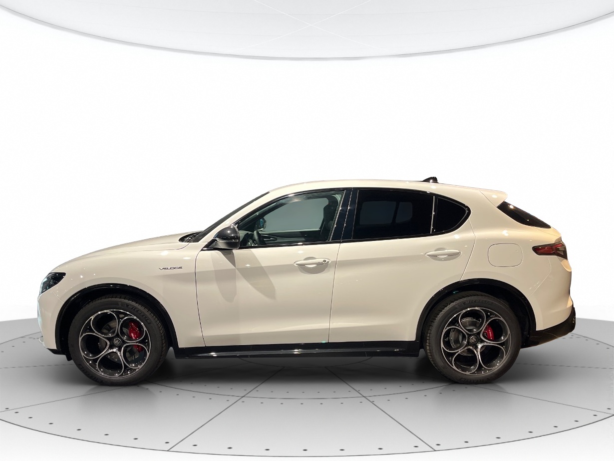 Alfa Romeo Stelvio Nuovo Diesel Stelvio Rovigo