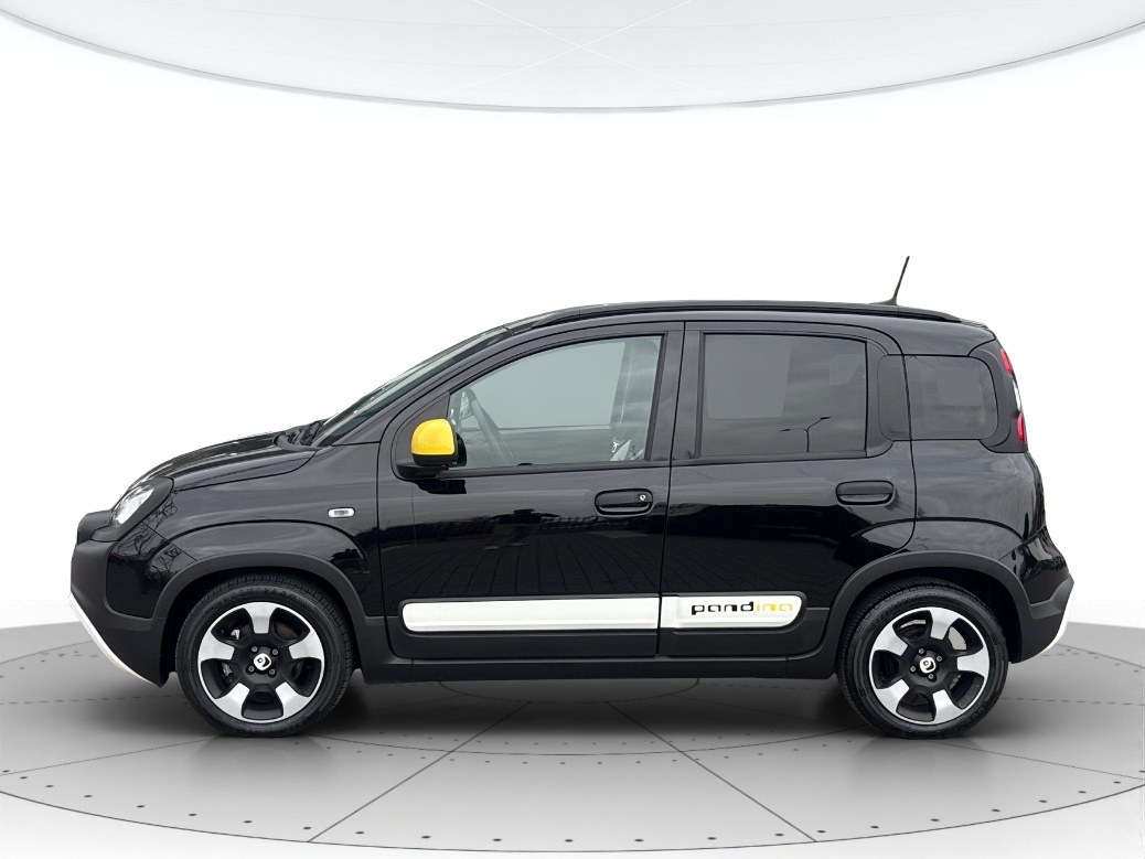 Fiat Pandina Usato 2025 Pandina Mestre