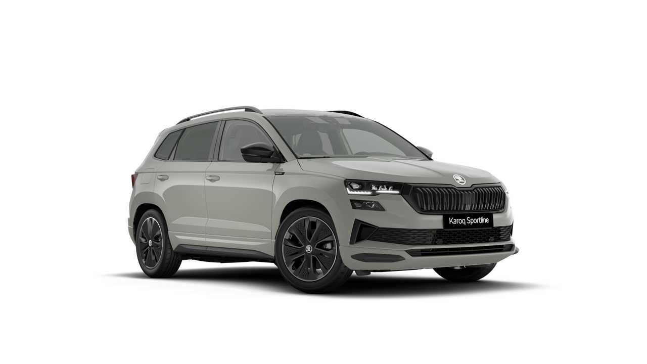Skoda Karoq Nuovo Benzina Karoq Rovigo