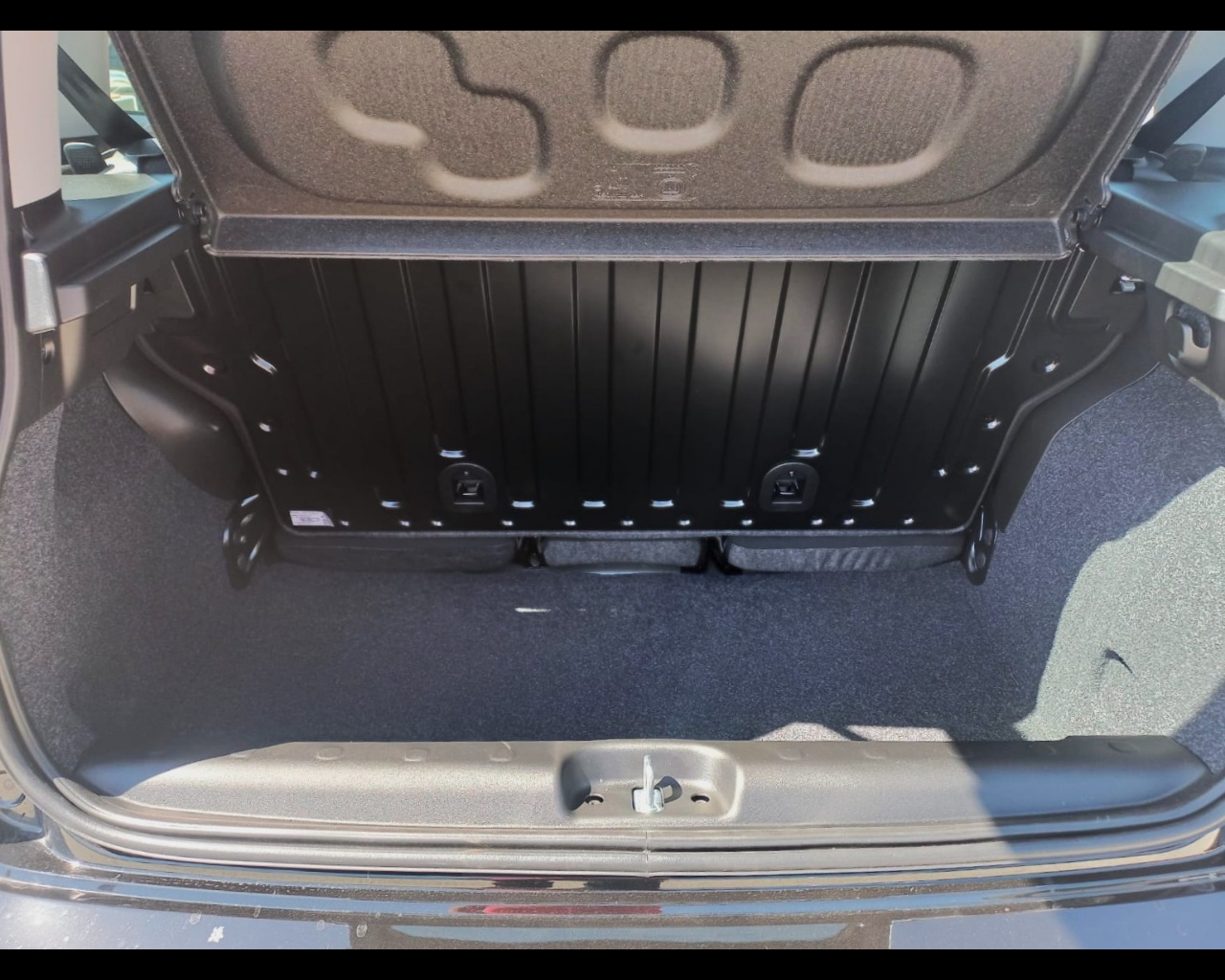 Foto FIAT Panda 1.0 firefly hybrid s&s 70cv 5p.ti