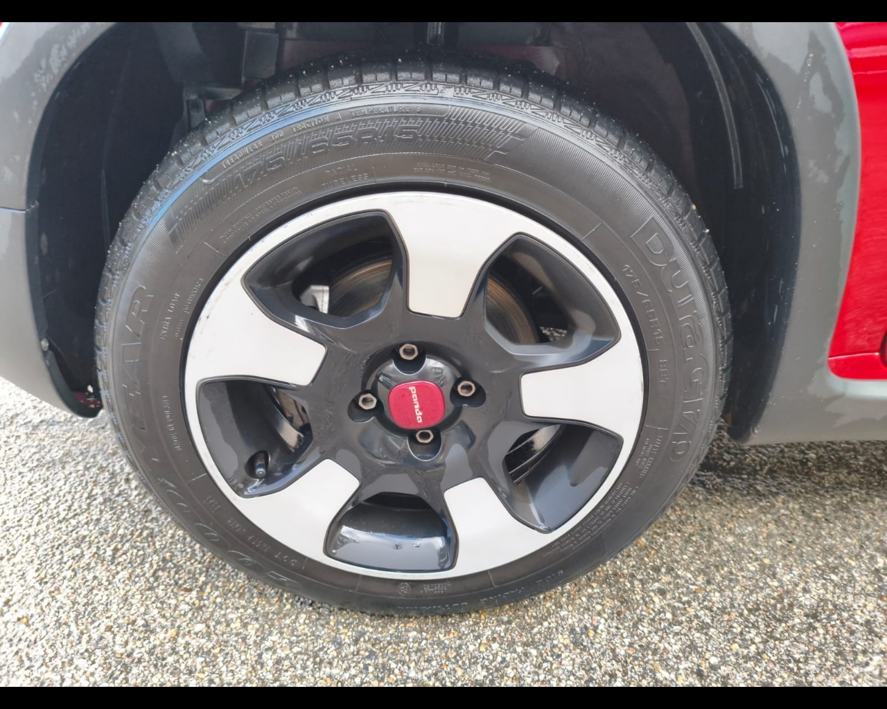 Foto FIAT Panda 1.0 firefly hybrid Cross s&s 70cv 5p.ti