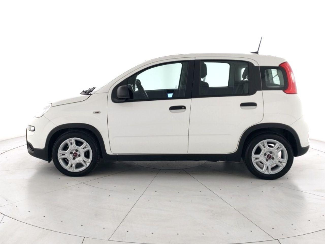 Fiat Panda Usato 2024 Panda Mestre