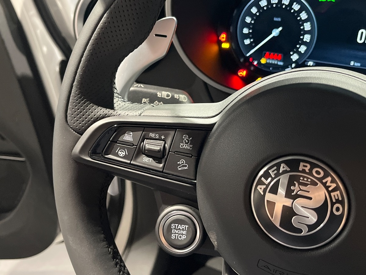 Alfa Romeo Stelvio Nuovo Diesel Stelvio Rovigo