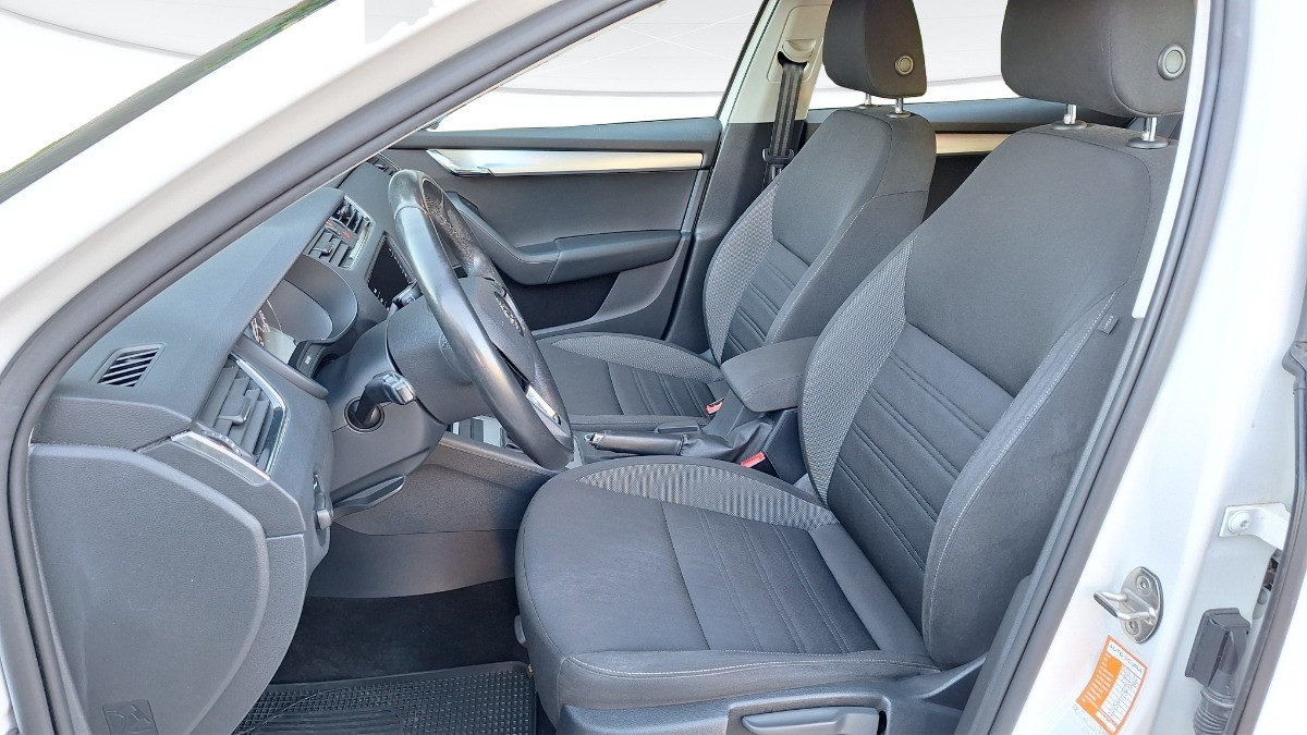 Skoda Octavia Usato 2019 Octavia San Vendemiano