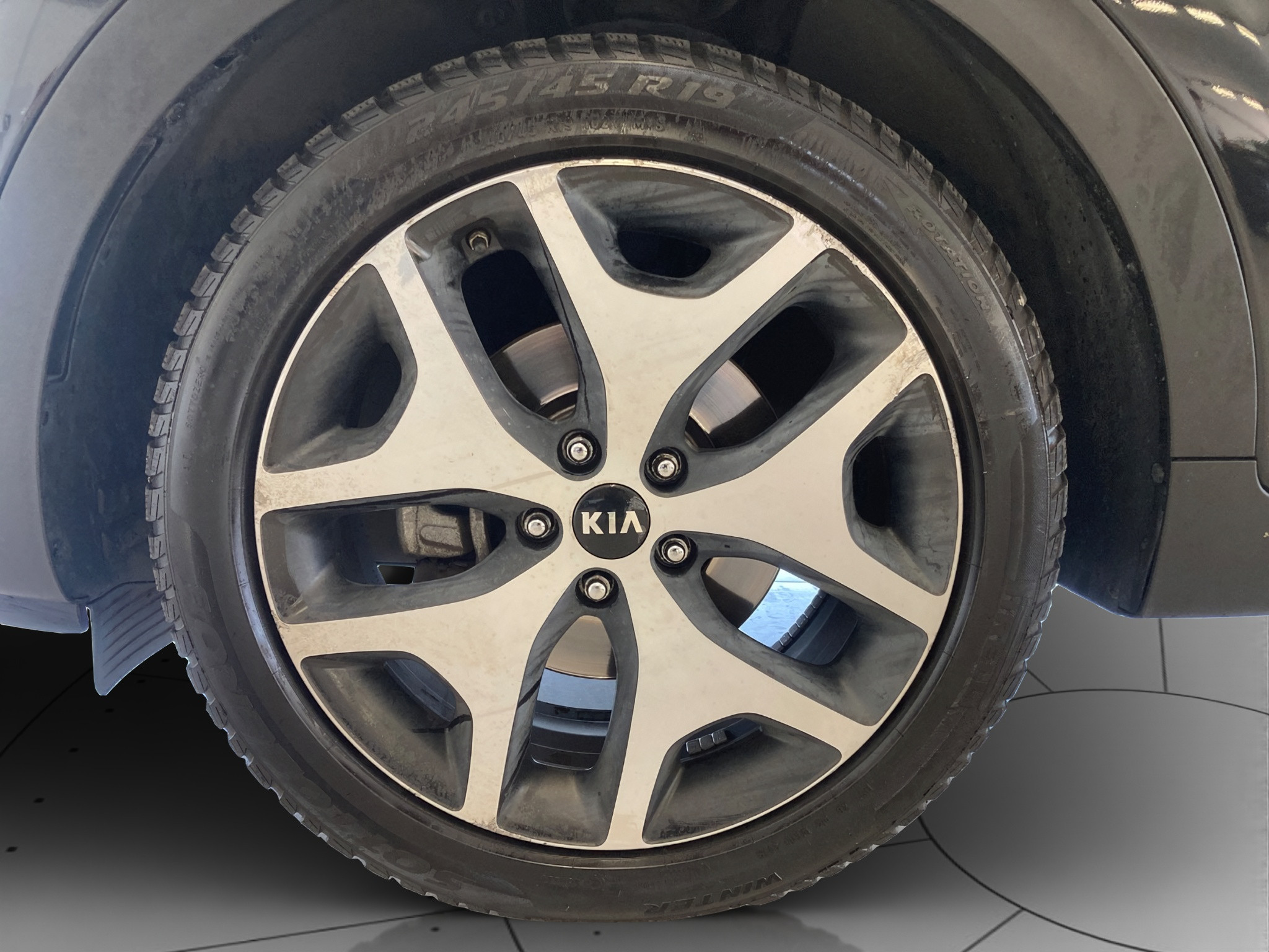 Kia Sportage Usato 2017 Sportage Modena