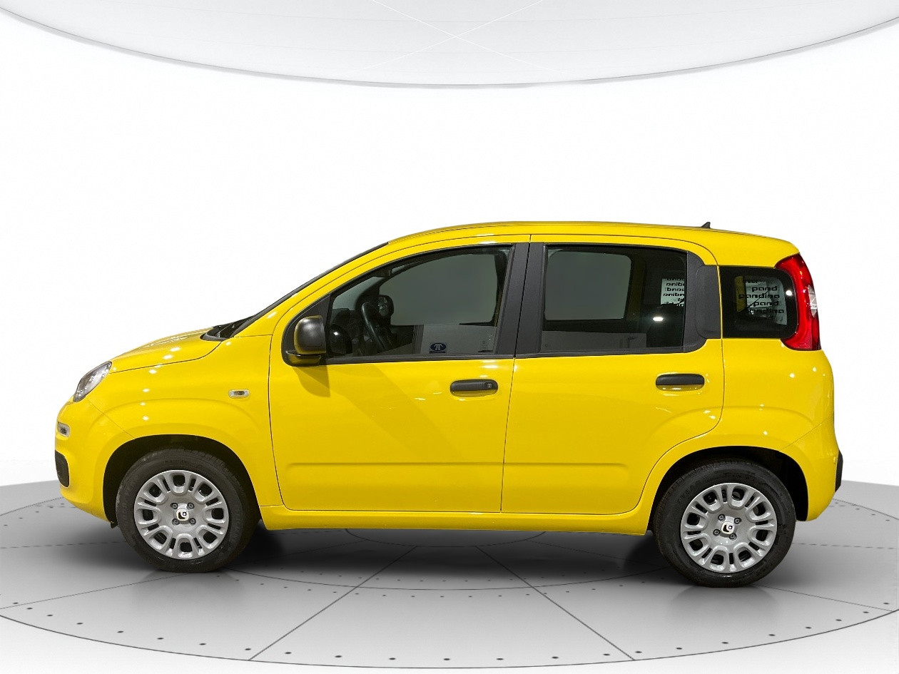 Fiat Pandina KM0 2026 Pandina Rovigo
