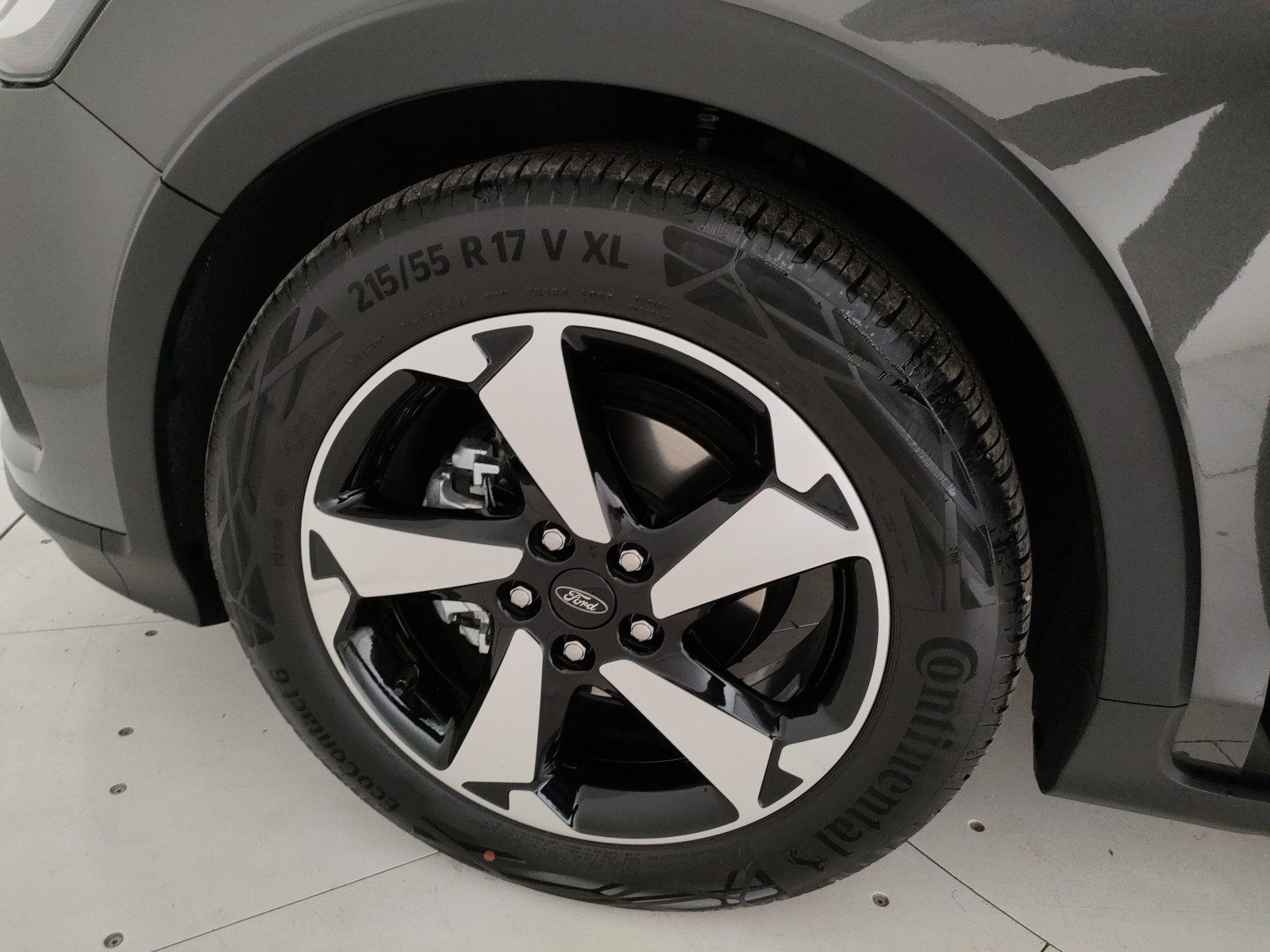 Ford Focus Usato 2025 Focus Padova