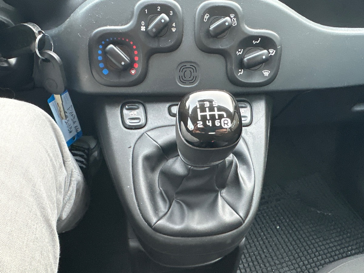 Fiat Panda Usato 2020 Panda Carpi