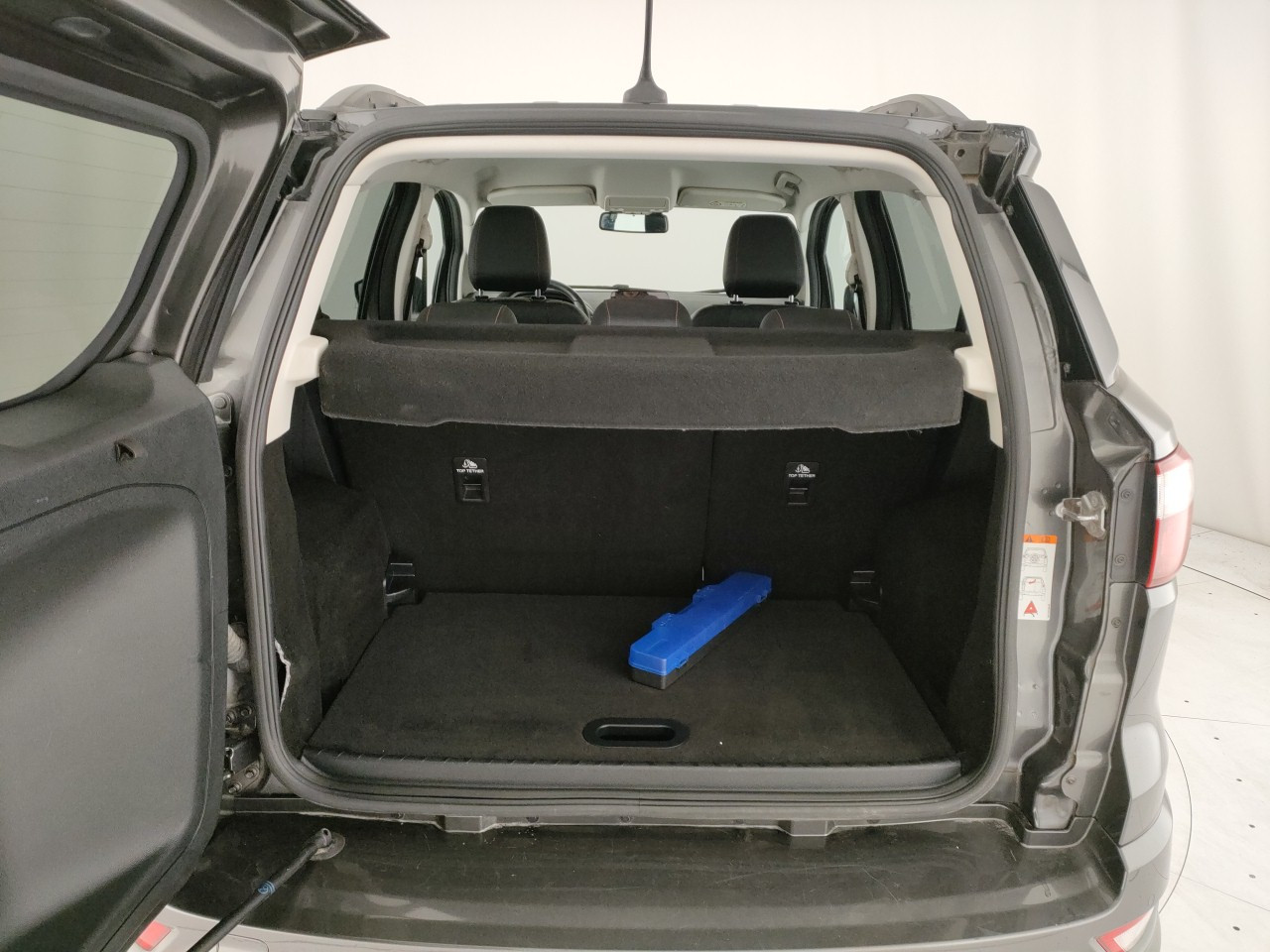 Ford EcoSport Usato 2020 EcoSport Porto Mantovano