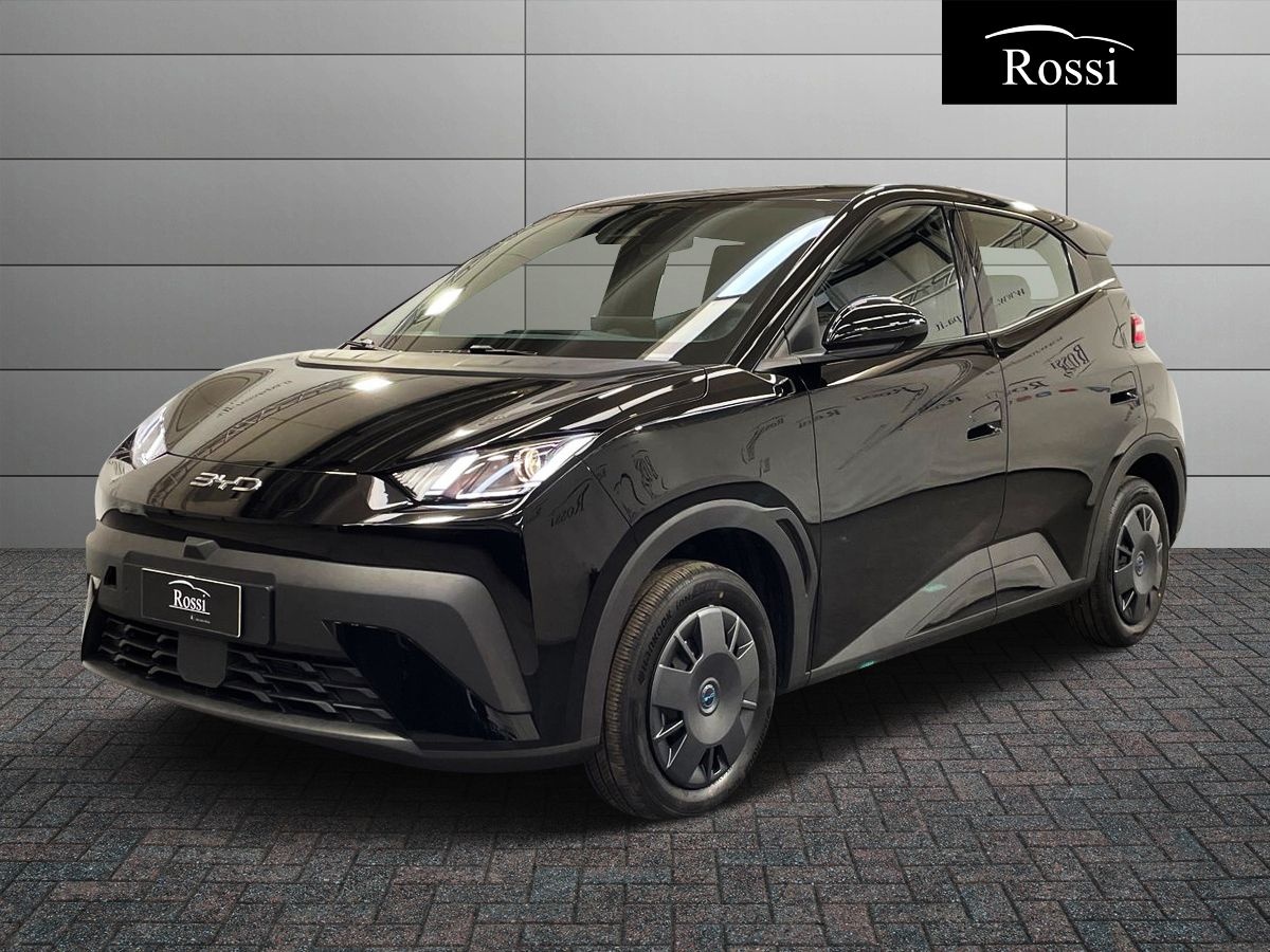 BYD BYD DOLPHIN SURF Active