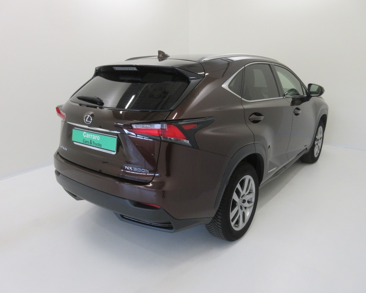 Lexus NX NX 300 2.5 Hybrid Icon 4WD CVT - 6
