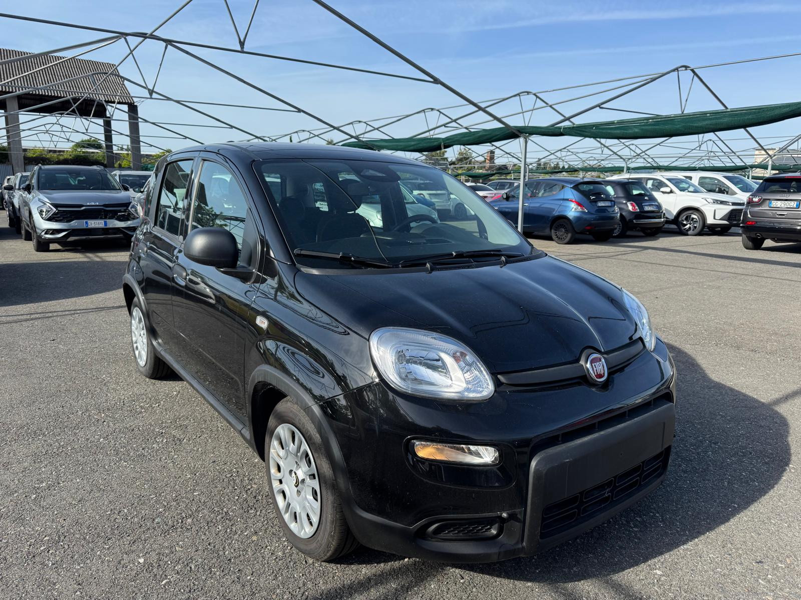 FIAT Panda Pandina 1.0 firefly hybrid s&s 70cv