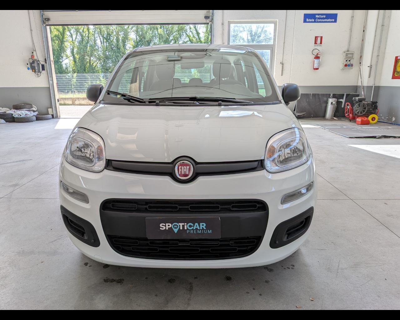 Foto FIAT Panda 1.0 firefly hybrid s&s 70cv 5p.ti