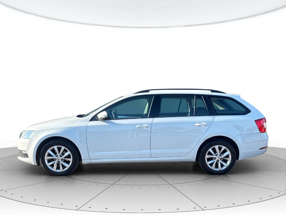 Skoda Octavia Usato 2019 Octavia Padova