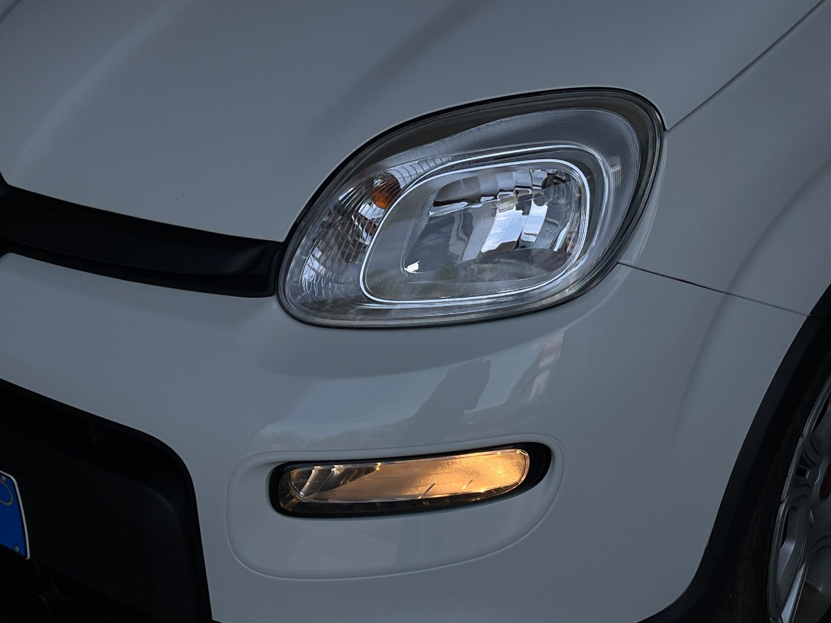 Fiat Panda Usato 2024 Panda Cerea