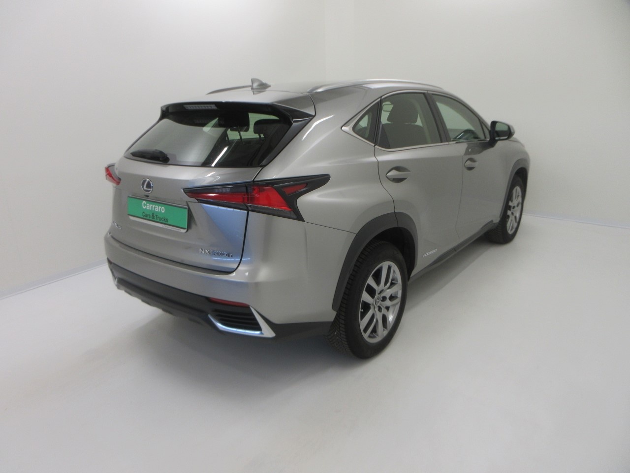 Lexus NX NX 300 2.5 Hybrid Executive 4WD CVT - 6