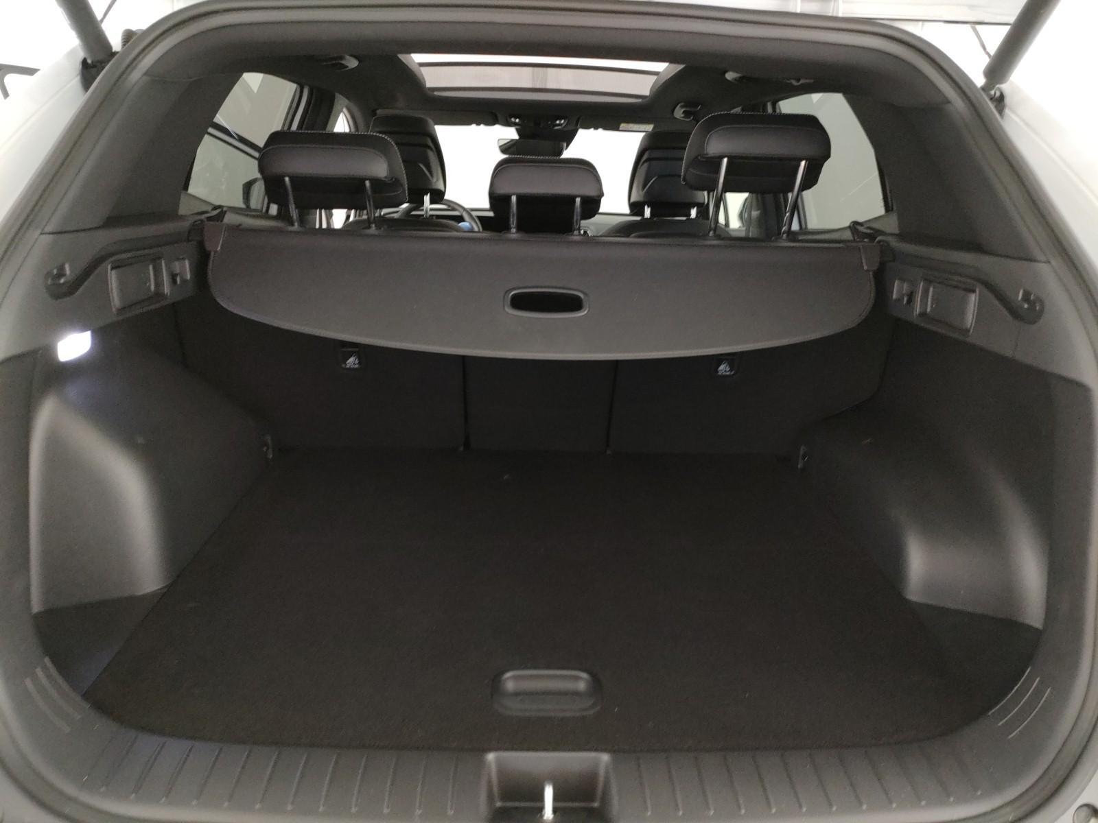 Kia Sportage Usato 2023 Sportage San Vendemiano