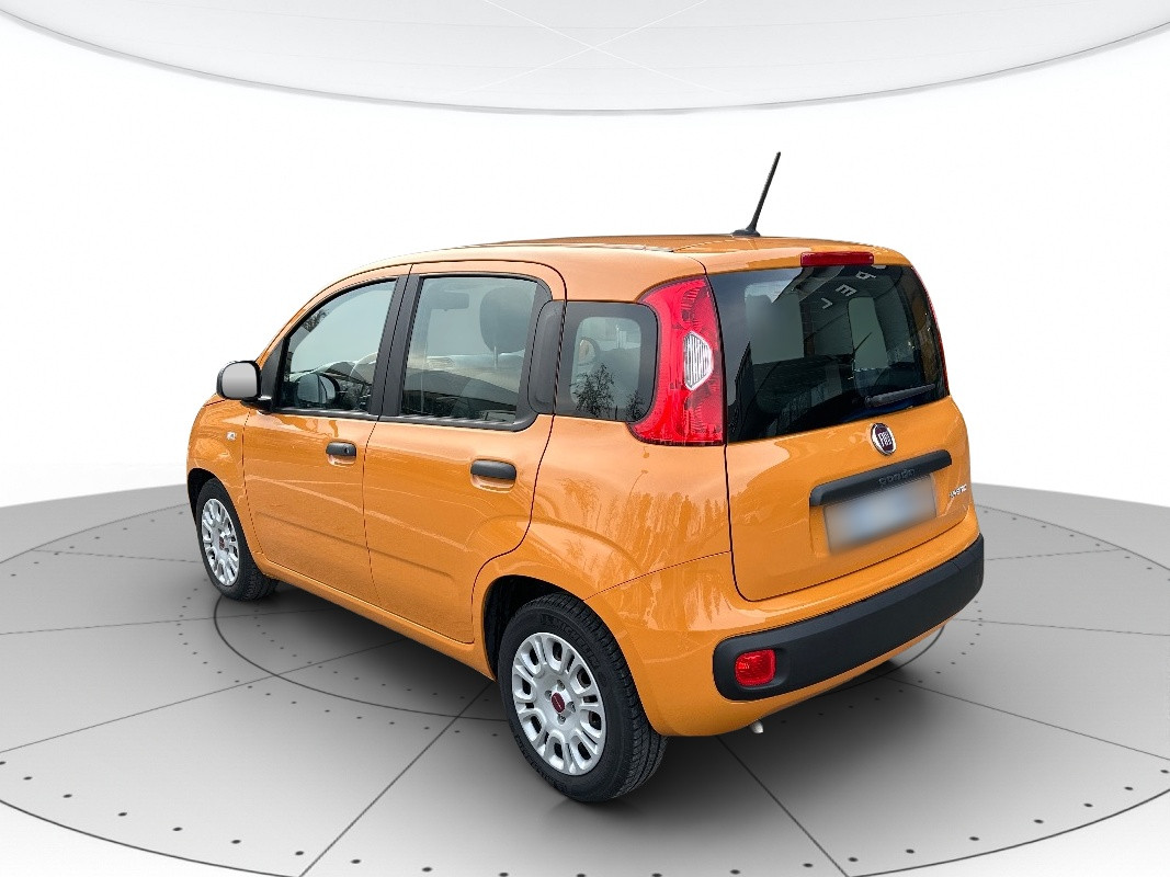 Fiat Panda Usato 2020 Panda Carpi