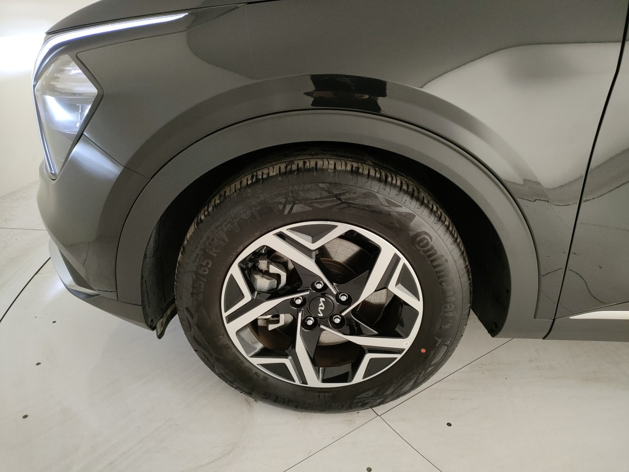 Kia Sportage Usato 2025 Sportage Porto Mantovano