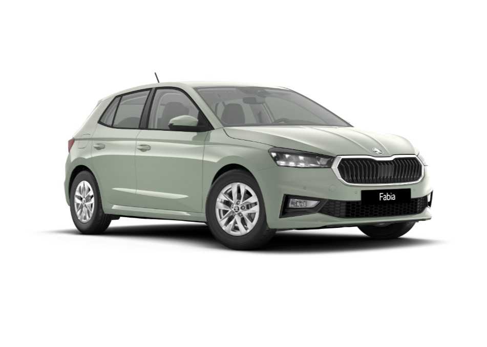 Skoda Fabia Nuovo Benzina Fabia Legnago