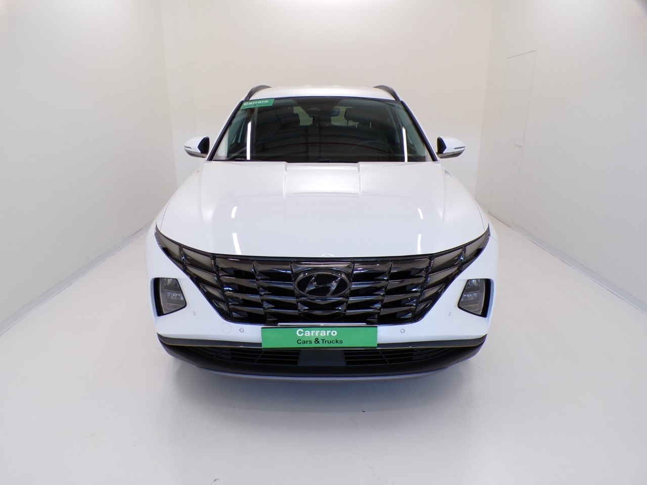 Hyundai Tucson Tucson 1.6 hev Exellence 2wd auto - 2