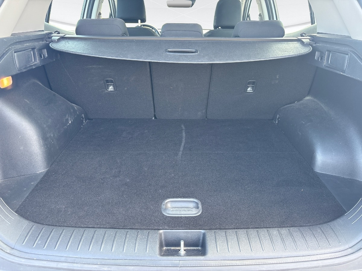 Kia Sportage Usato 2022 Sportage Rovigo