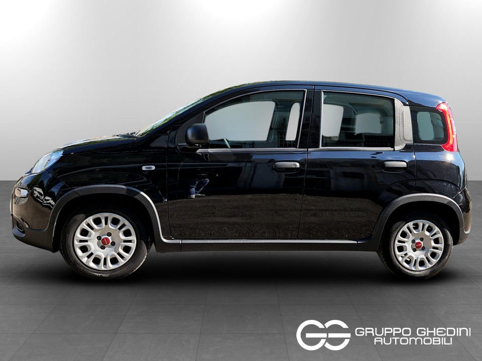 FIAT Panda 1.0 firefly hybrid s&s 70cv Ibrida usato - 1