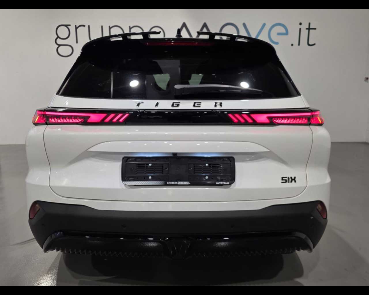 Tiger SIX Nuovo gPL SIX Padova