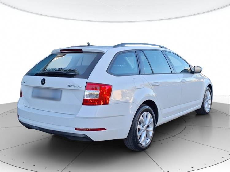 Skoda Octavia Usato 2019 Octavia San Vendemiano
