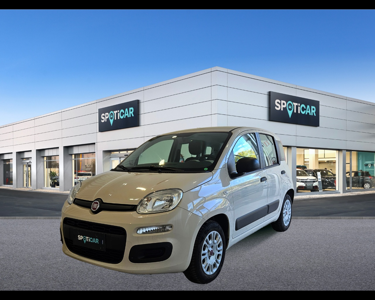 FIAT Panda panda 1.2 Easy 69cv E6 Benzina Usato