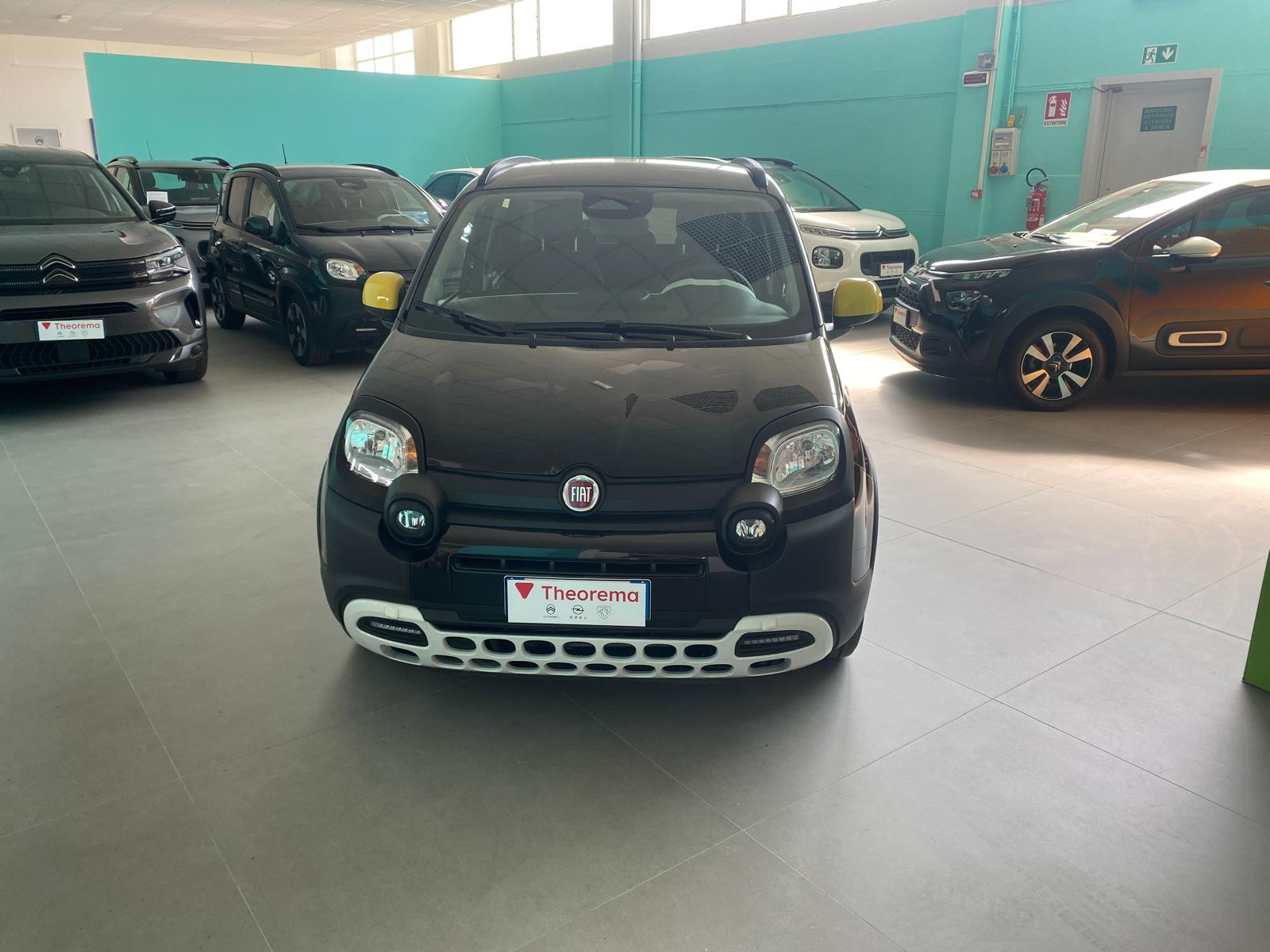 FIAT Panda Pandina Cross 1.0 firefly hybrid s&s 70cv