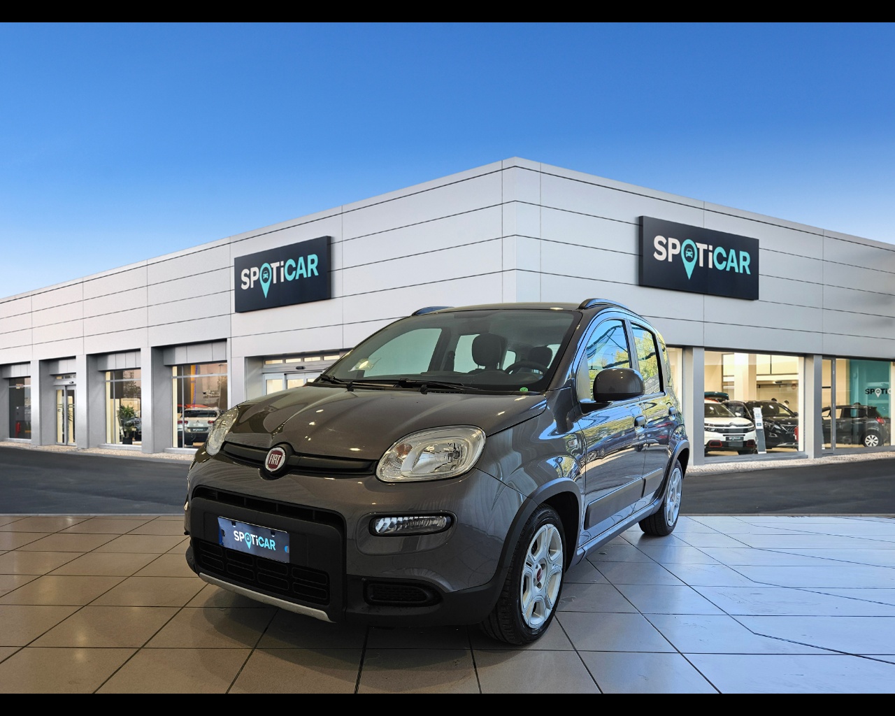 FIAT Panda Panda 1.0 firefly hybrid City Life s&s 70cv 5p.ti Ibrido benzina Usato